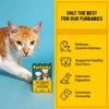 Furlicks Skin & Coat & Gut Health Supplement Combo for Dogs & Cats Both-Health & Wellness Furlicks