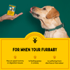 Furlicks Skin & Coat & Gut Health Supplement Combo for Dogs & Cats Both-Health & Wellness Furlicks