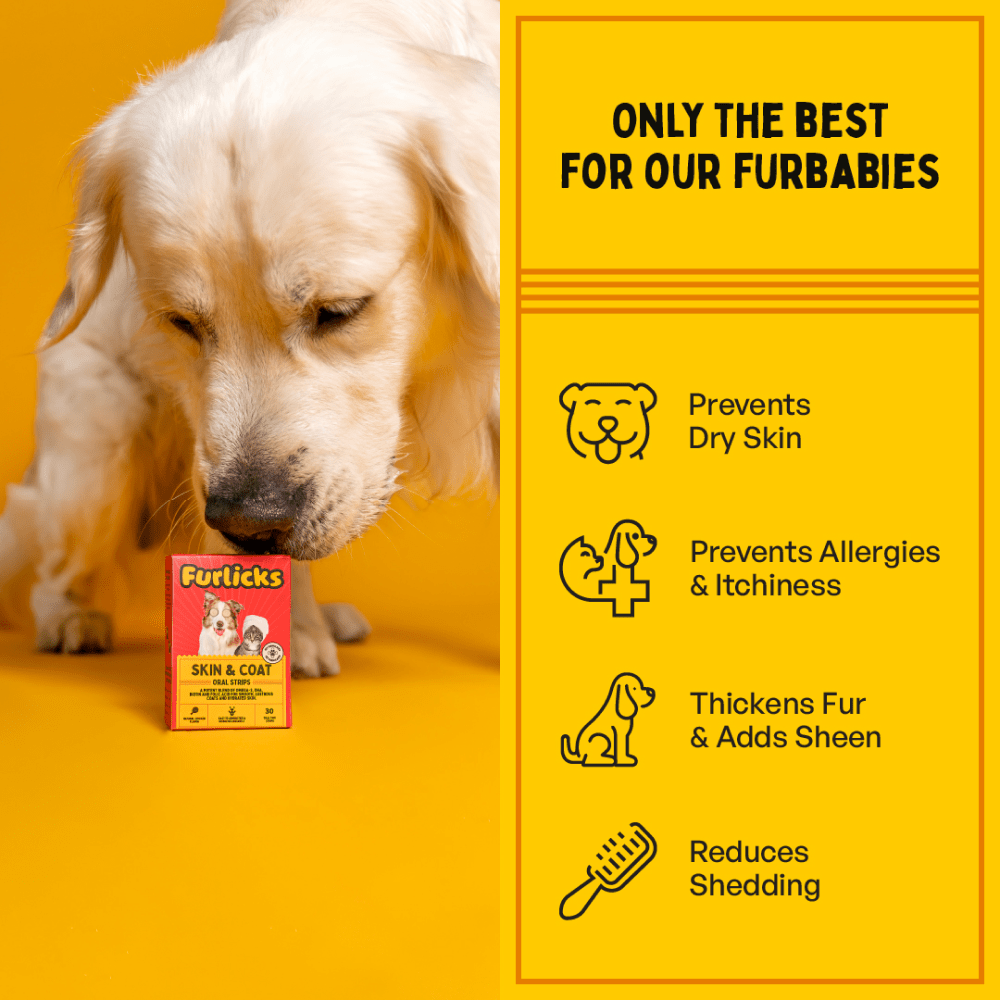 Me O Creamy Crab Treats and Furlicks Skin & Coat Supplement Combo for Cats