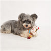 Fofos Monkey Fluffy Puppy Plush Toy for Dogs Dogs-Toys FOFOS