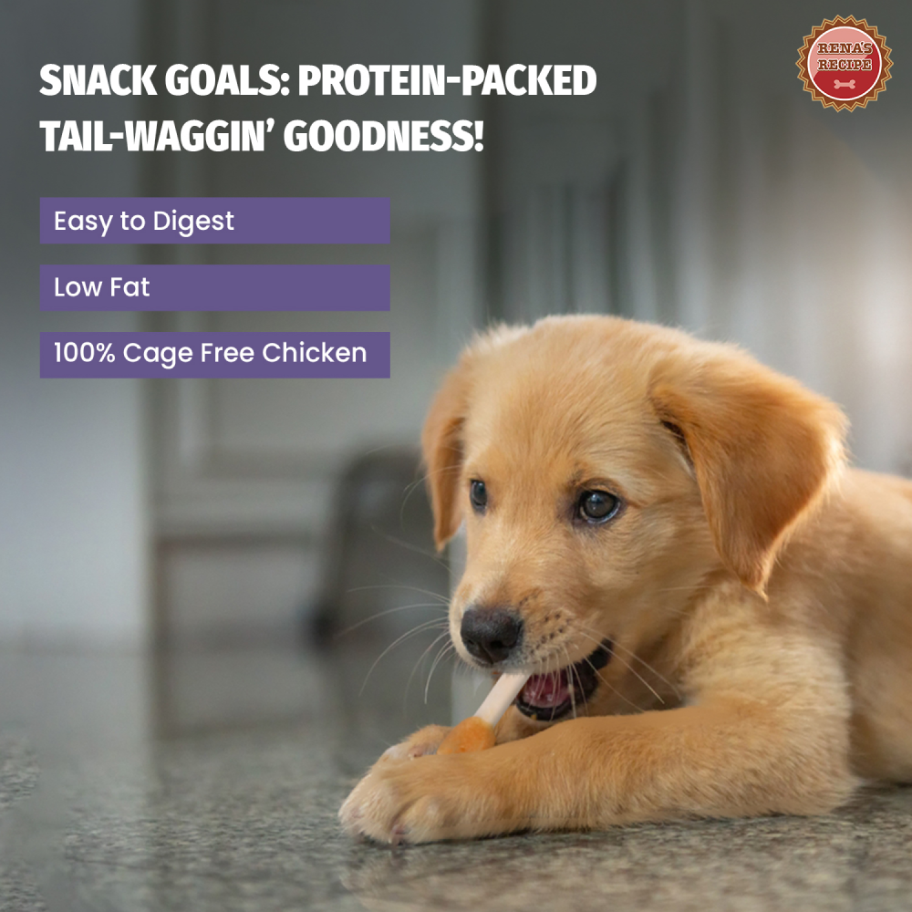 Rena Love Dumbbell Treats for Dogs (Buy 1 Get 1 Free) Dog Treats + Others Rena