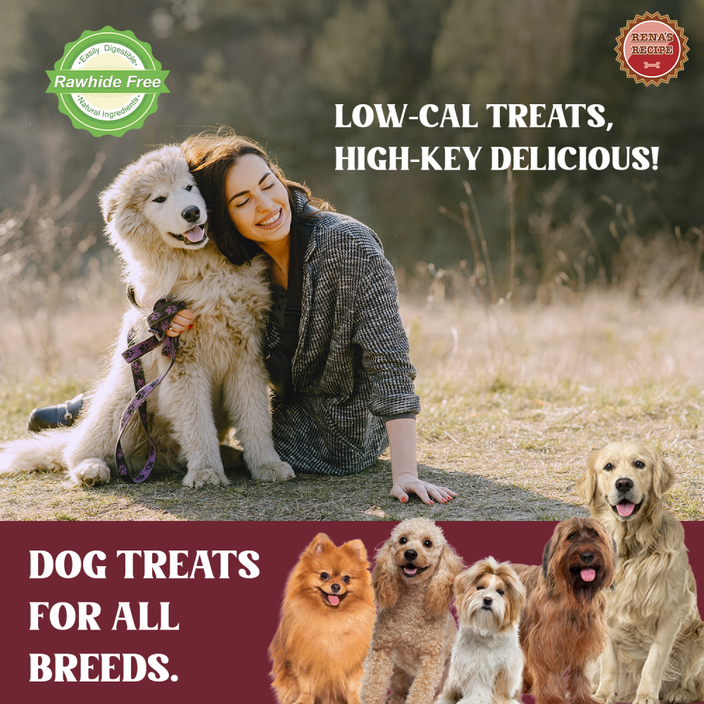 Rena Love Kabobs Dog Treats (Buy 1 Get 1 Free) Dog Treats + Others Rena