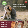 Rena Love Kabobs Dog Treats (Buy 1 Get 1 Free) Dog Treats + Others Rena