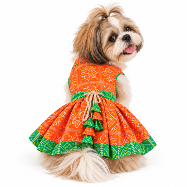 Pawgy Pets Festive Dress for Dogs (Orange & Green)