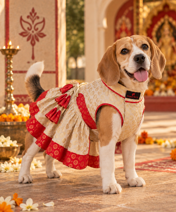Pawgy Pets Pujo Dress for Dogs (Red & White)