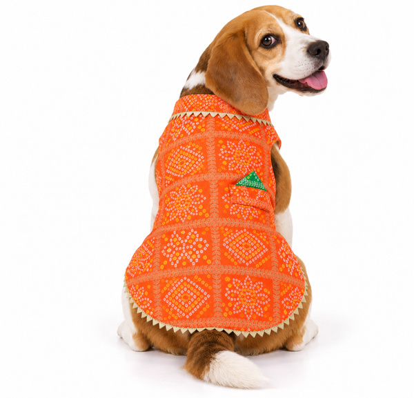 Pawgy Pets Bandhani Kurta for Dogs (Orange)