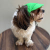 Pawgypets Cap and Bandana Set for Dogs and Cats (Lime Green) Both-Clothing & Accessories Pawgypets Dropship