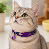 Talking Dog Club Everyday Collar with Sea Horse Bell for Cats (Navy/Purple) Cats-Collar, Leashes, harnesses Talking Dog Club Dropship
