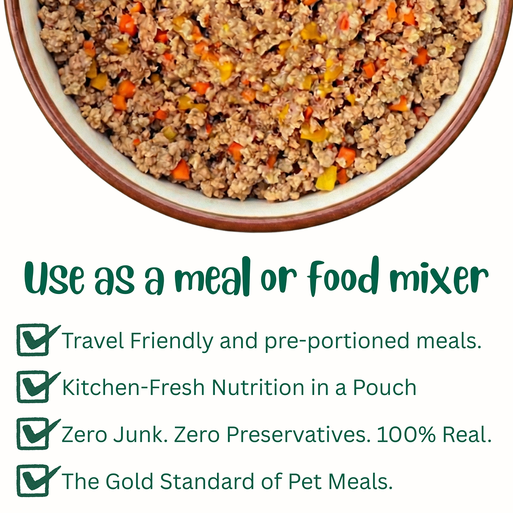 Doggos Chicken and Pumpkin Real Fresh Dog Wet Food (200g) Dogs-Fresh Food Doggos
