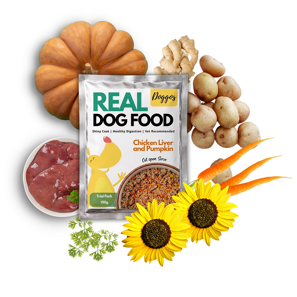 Doggos Mini Monster Chicken and Pumpkin Fresh Small Breeds Dog Wet Food