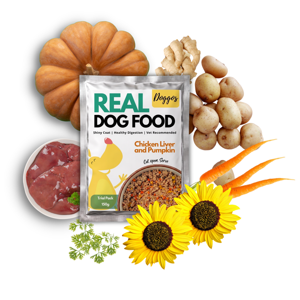 Doggos Chicken and Pumpkin Real Fresh Dog Wet Food (150g)