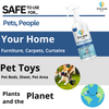 Zoivane Stain and Odour Eliminator for Dogs and Cats Both-Health & Wellness Zoivane