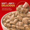 Drools Real Chicken & Chicken Liver Chunks in Gravy Puppy Dog Wet Food Dogs-Wet Food Drools