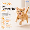 Drools Real Chicken Kitten Dry Food Cats- Dry food Drools
