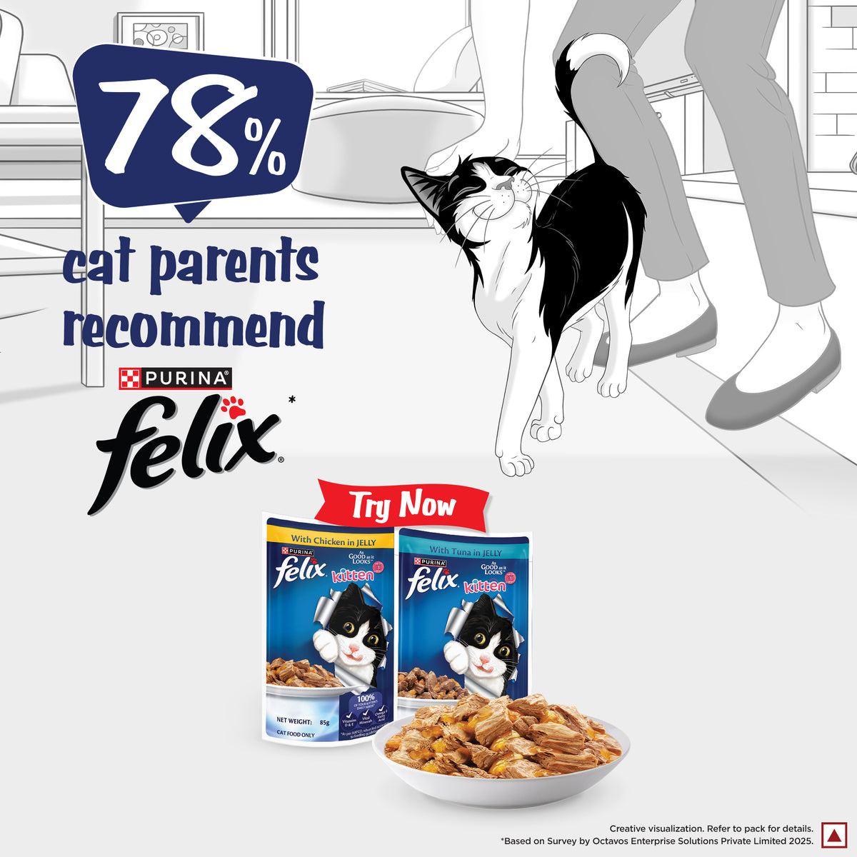 Purina Felix with Chicken in Jelly Complete and Balanced Kitten Cat Wet Food Cats-Wet Food Felix