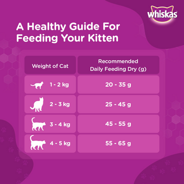 Whiskas Ocean Fish and Tuna in Jelly Kitten Dry and Wet Food Combo