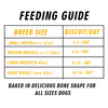 Nootie Chicken & Peanut Butter Flavour Biscuits Adult Dog Treats Dog Treats + Others Nootie