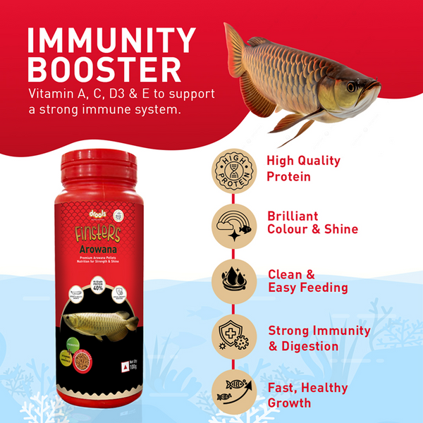 Drools Finsters Arowana Fish Food