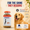 Purepet Chicken Flavour Real Chicken Biscuit Dog Treats Dog Treats + Others Purepet
