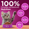 Whiskas Ocean Fish Kitten Cat Dry Food Cats- Dry food Whiskas