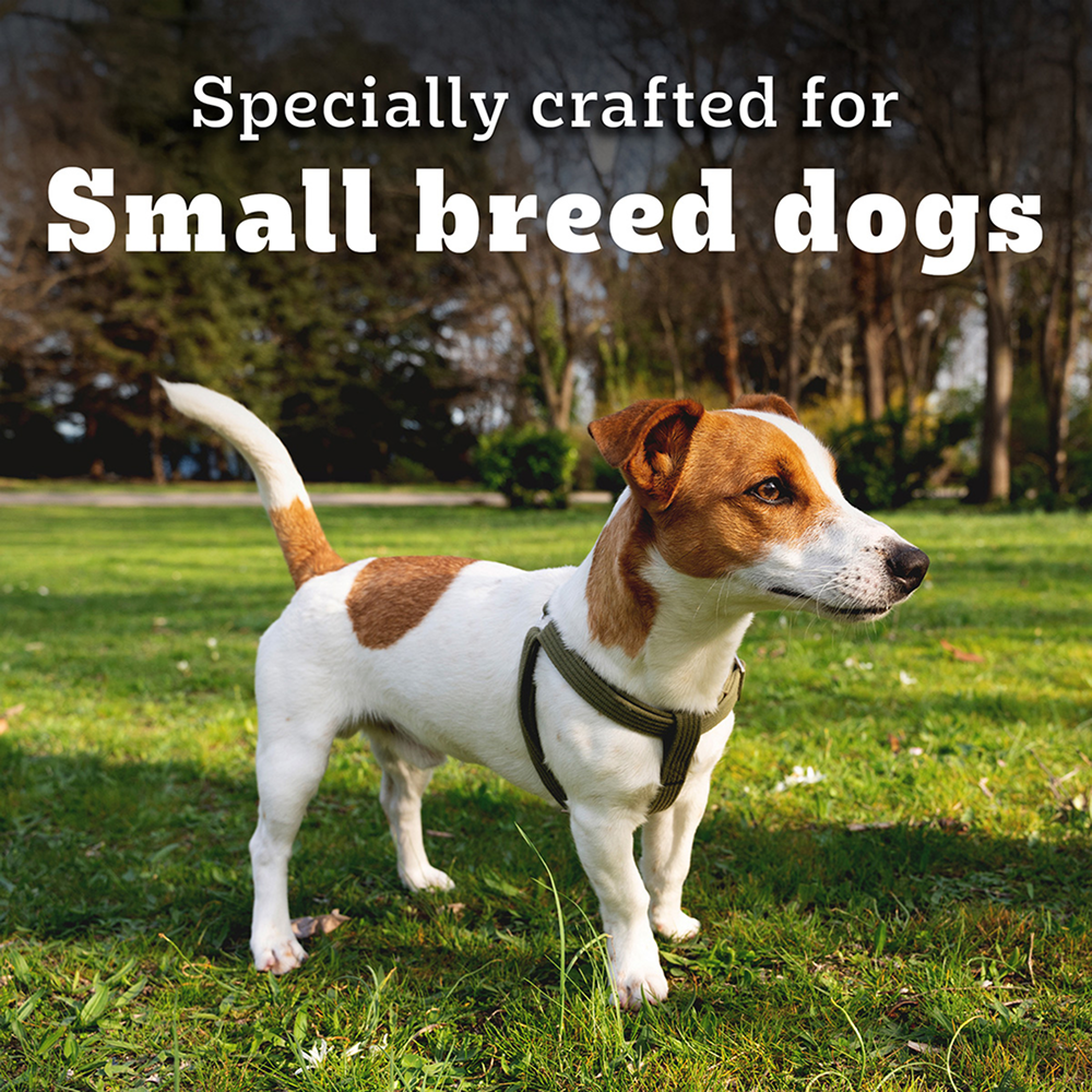 Pedigree PRO Expert Nutrition Adult Dog Dry Food for Small Breed Dogs- Dry Food Pedigree PRO