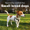 Pedigree PRO Expert Nutrition Adult Dog Dry Food for Small Breed Dogs- Dry Food Pedigree PRO