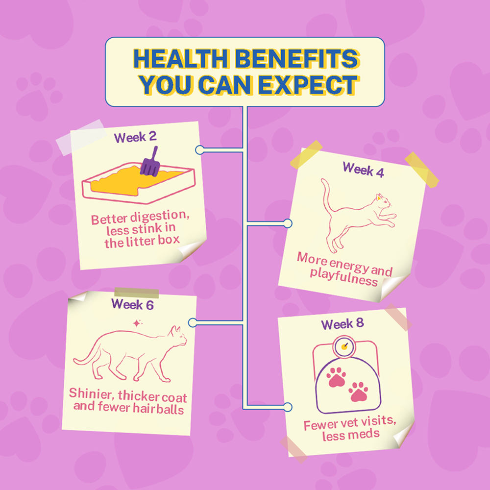 Smylo Chicken, Liver & Pomergranate and Chicken, Tuna and Rosemary Adult Cat Wet Food Combo Cats-Wet Food Smylo