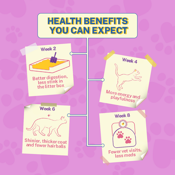 Smylo Chicken, Liver and Pomergranate Fresh and No Preservative Adult Cat Wet Food