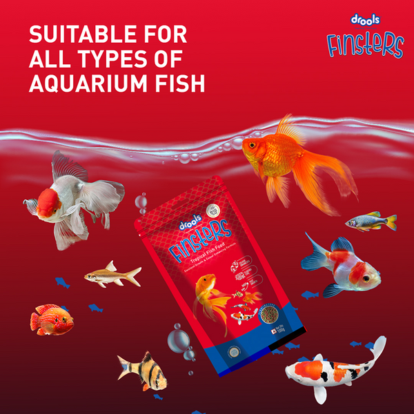 Drools Finsters Tropical 1mm Small Fish Food