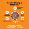 PetStrong Lamb and Blueberry & Chicken and Pumpkin Grain Free Fresh Food for Dogs Combo Dogs-Fresh Food PetStrong