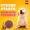 Pedigree Puppy Dog Food Combo |Chicken & Milk Dry & Chicken & Liver Wet Dogs- Dry Food Pedigree