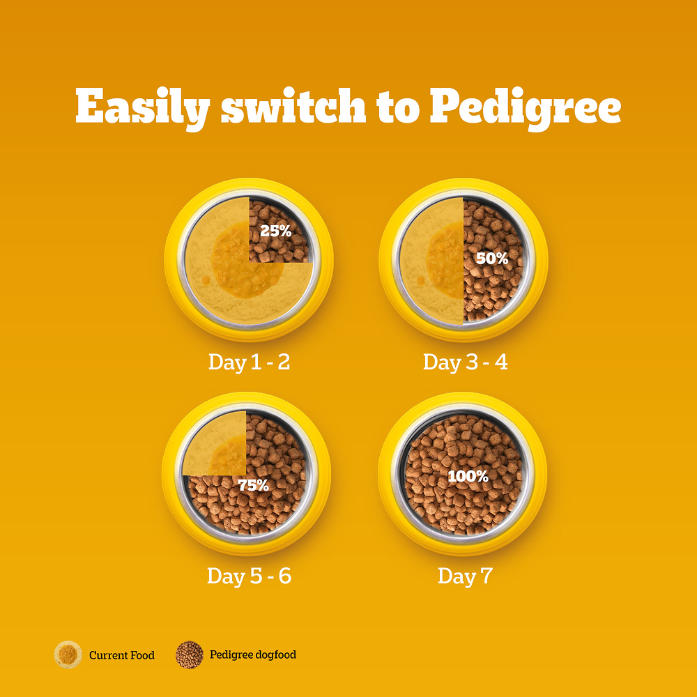 Pedigree Meat & Rice Adult Dog Dry Food