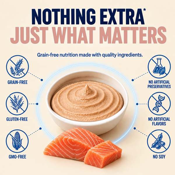 Kitty Yum Salmon Mousse Kitten Cat Wet Food