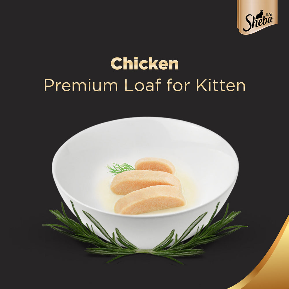 Sheba Chicken Loaf Premium Kitten (2 to 12 Months) Wet Food and Chicken All Life Stage Cat Dry Food Combo Exclusive Combo Sheba