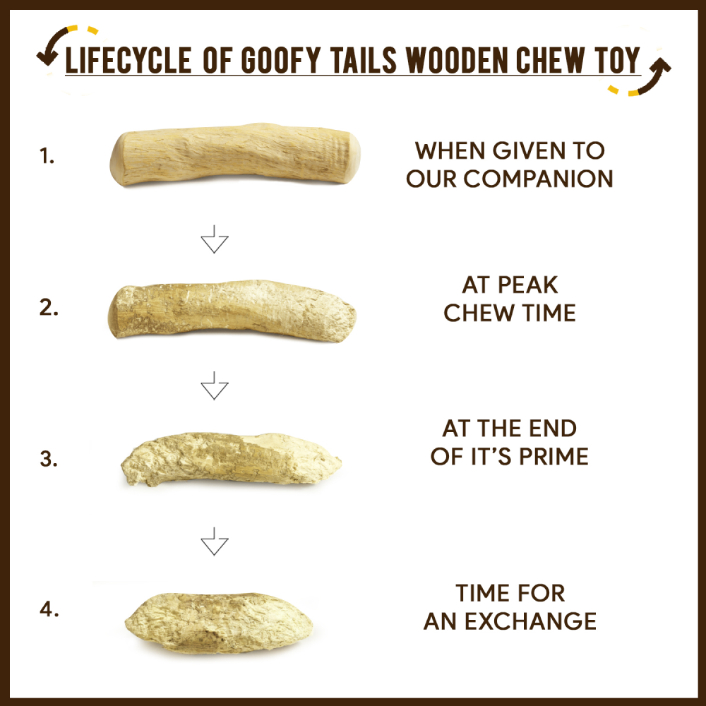 Goofy Tails Coffee Wood Chewing Stick Toy for Dogs | For Medium Chewers Dogs-Toys Goofy Tails