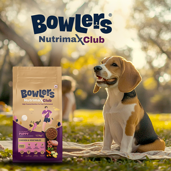 Bowlers Nutrimax Club Puppy Dog Dry Food