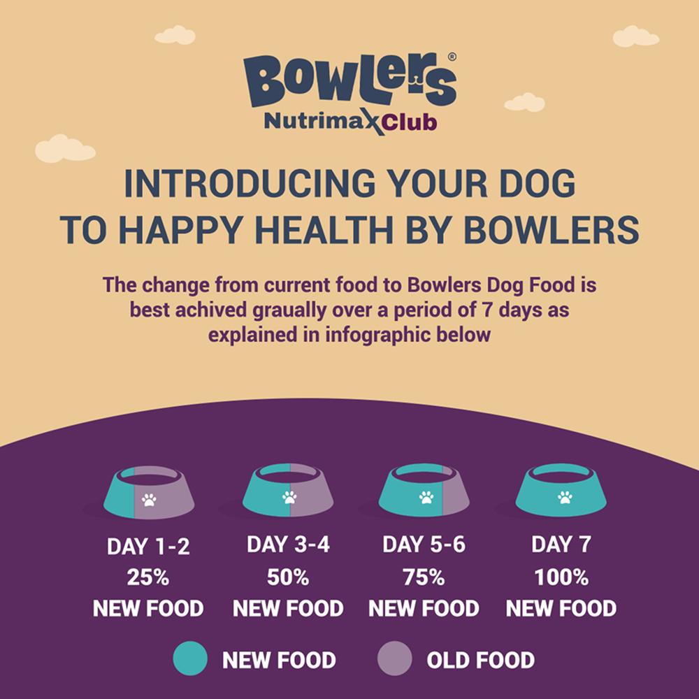 Bowlers Nutrimax Club Adult Dog Dry Food Dogs- Dry Food Bowlers