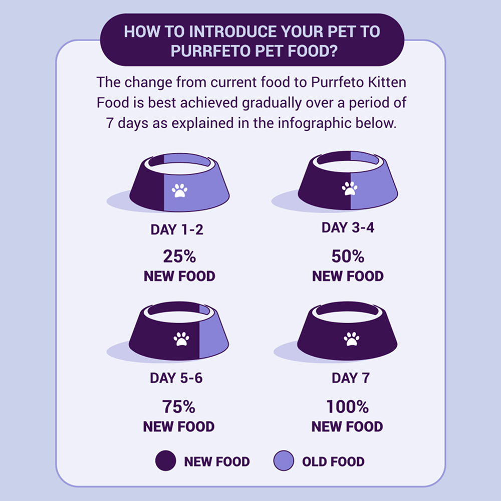Purrfeto Chicken and Rice Kitten Cat Dry Food Cats- Dry food Purrfeto