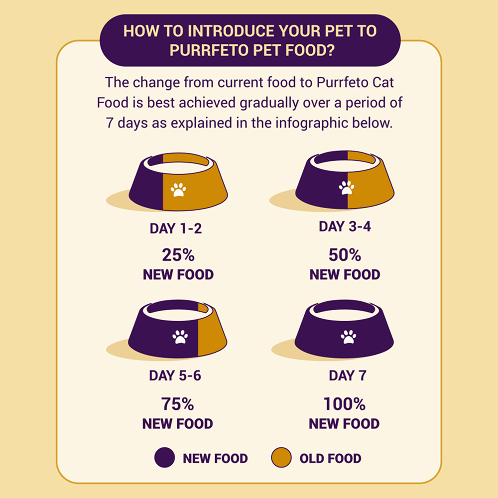 Purrfeto Chicken and Salmon Adult Cat Dry Food Cats- Dry food Purrfeto