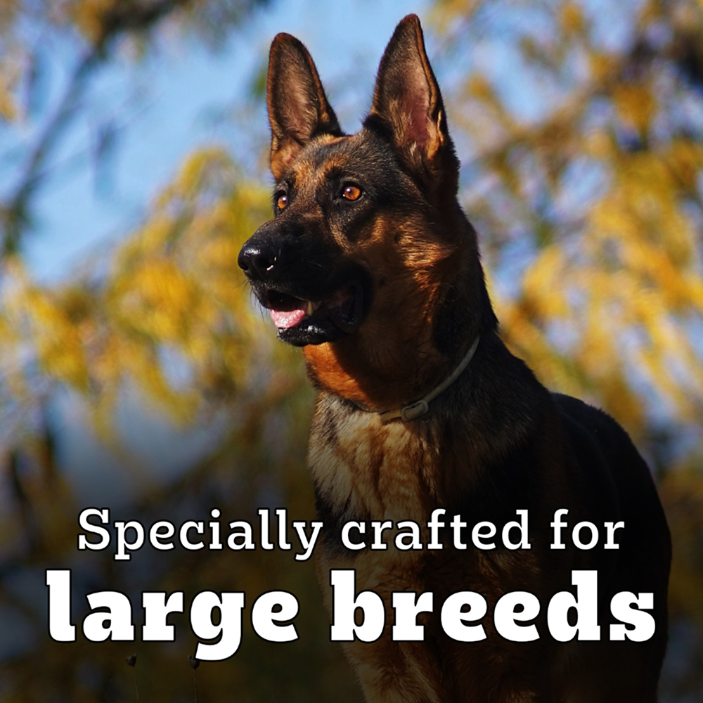 Pedigree PRO Expert Nutrition Active Adult (18 Months Onwards) Large Breed Dog Dry Food Dogs- Dry Food Pedigree PRO
