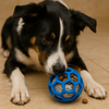 Talking Dog Pop Hollow Elastic Interactive Busy Ball Toy for Dogs (Blue) Dogs-Toys Talking Dog Club Dropship