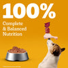 Pedigree Adult Dog Food Combo |Meat & Rice Dry & Chicken & Liver Wet