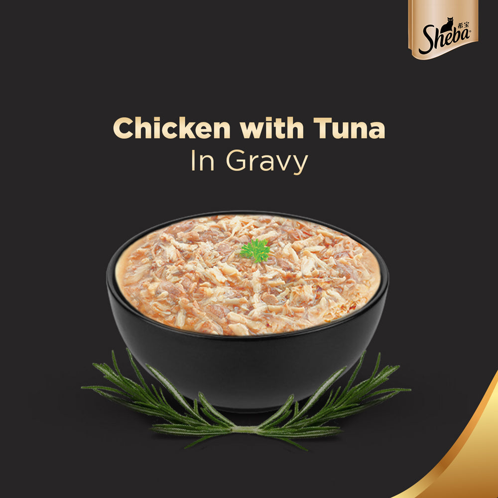 Sheba Chicken With Tuna In Gravy Rich Premium Adult Fine Cat Wet Food Cats-Wet Food Sheba