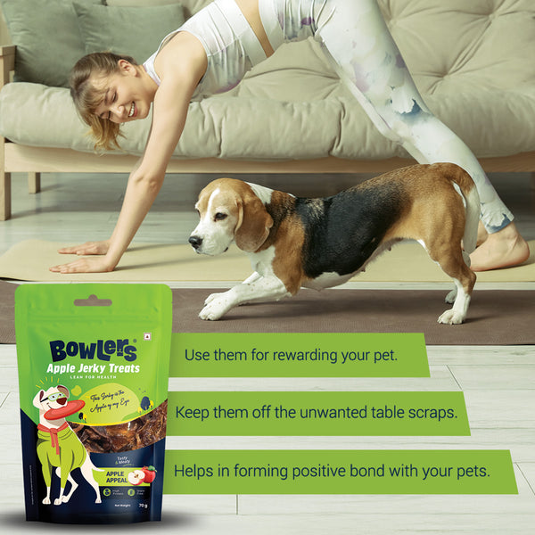Bowlers Apple Jerky Dog Treats