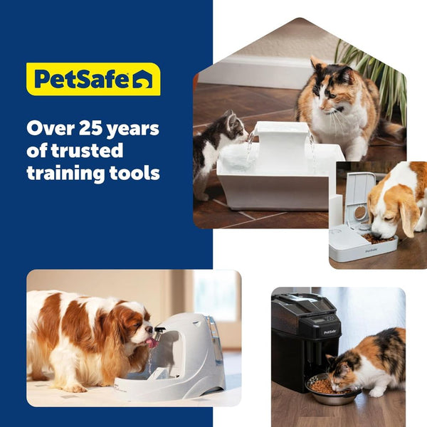 PetSafe 5 Meal Automatic Pet Feeder for Dogs and Cats