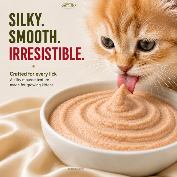 Signature Grain Zero Salmon Mousse Kitten Cat Wet Food