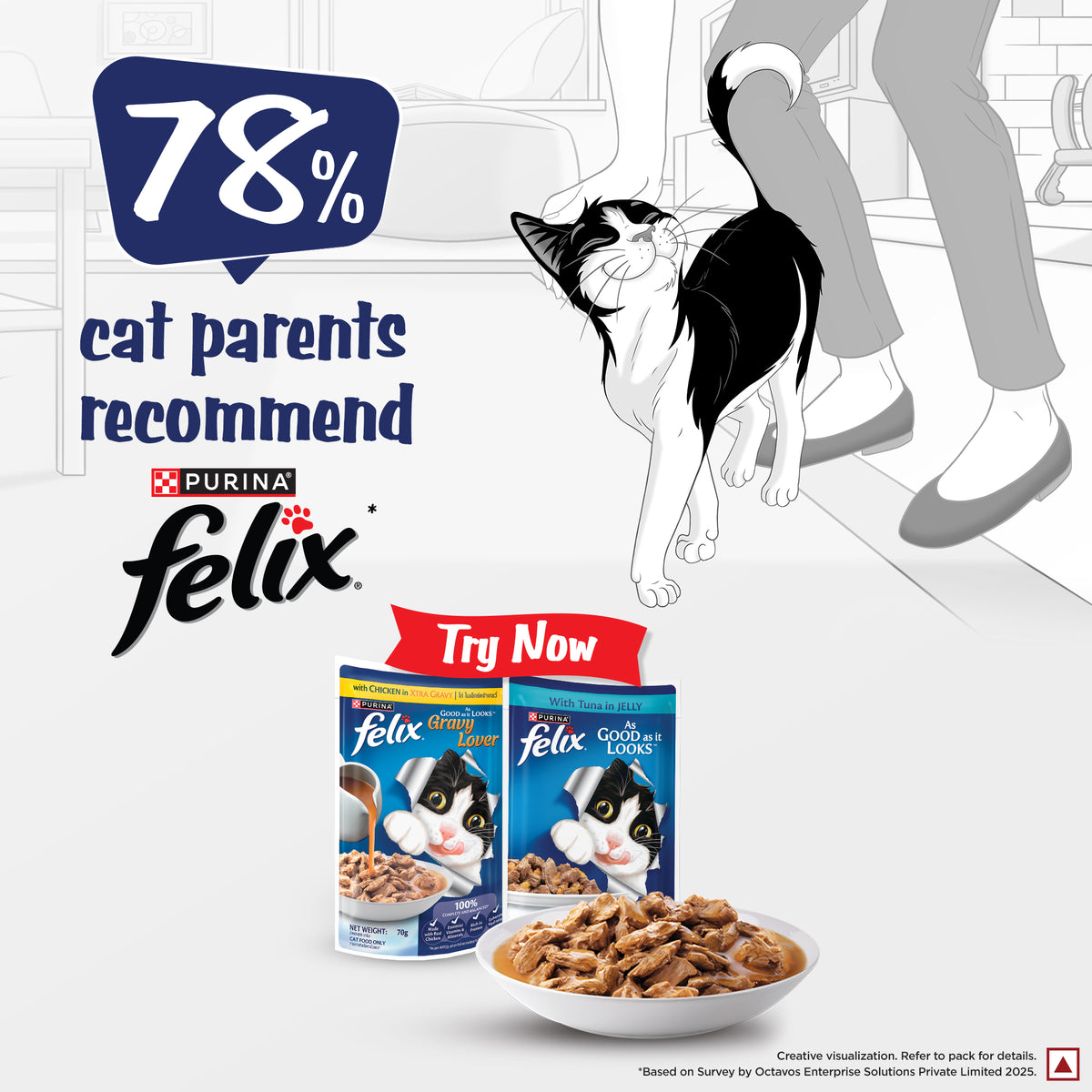 Purina Felix Gravy Lover Chicken Chunks Adult Complete and Balanced Cat Wet Food Cats-Wet Food Felix