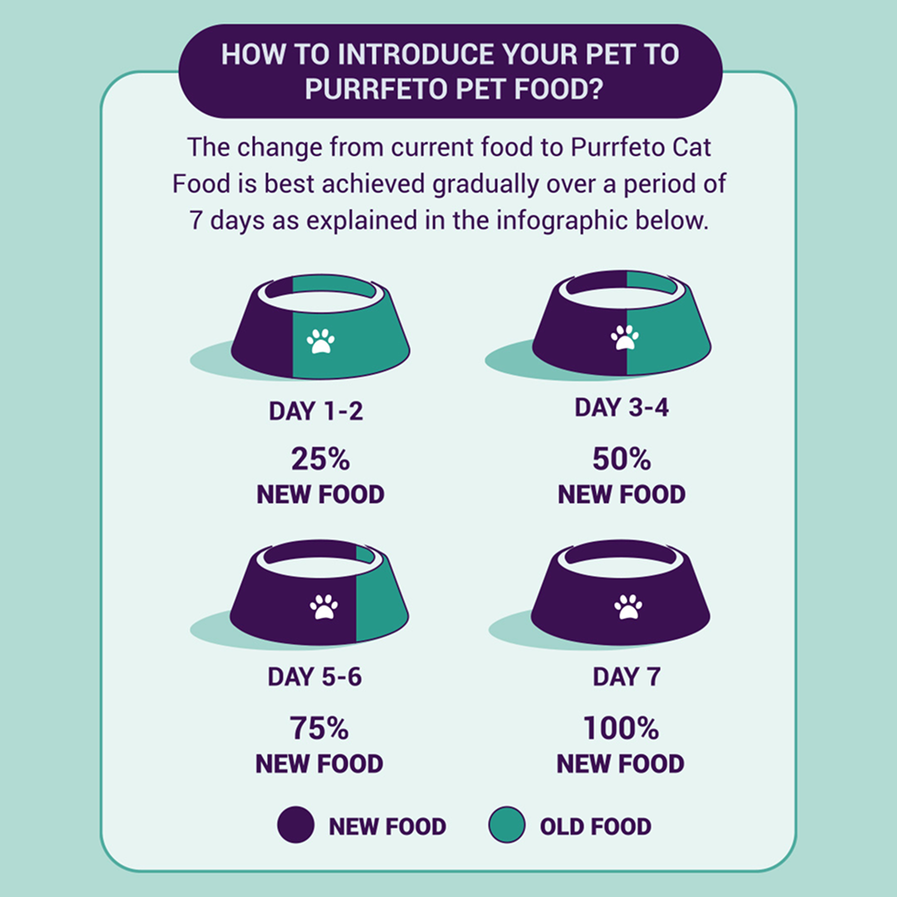 Purrfeto Chicken and Ocean Fish Cat Dry Food Cats- Dry food Purrfeto