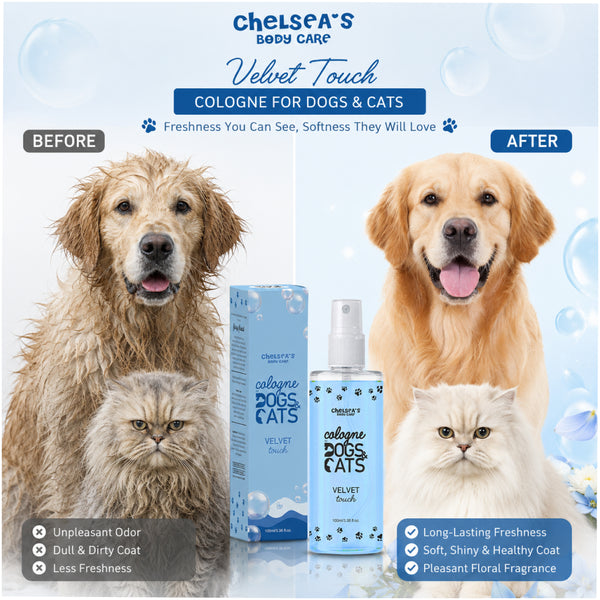 Dr. Chelsea&