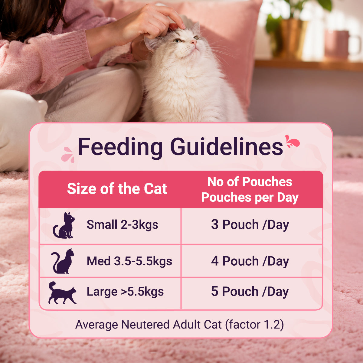 Purrfeto Tuna Recipe in Jelly Adult Cat Wet Food